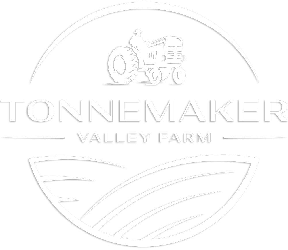 Farm logo featuring a stylized evergreen tree, representing sustainability and agriculture. The design emphasizes a clean, modern look with bold typography.